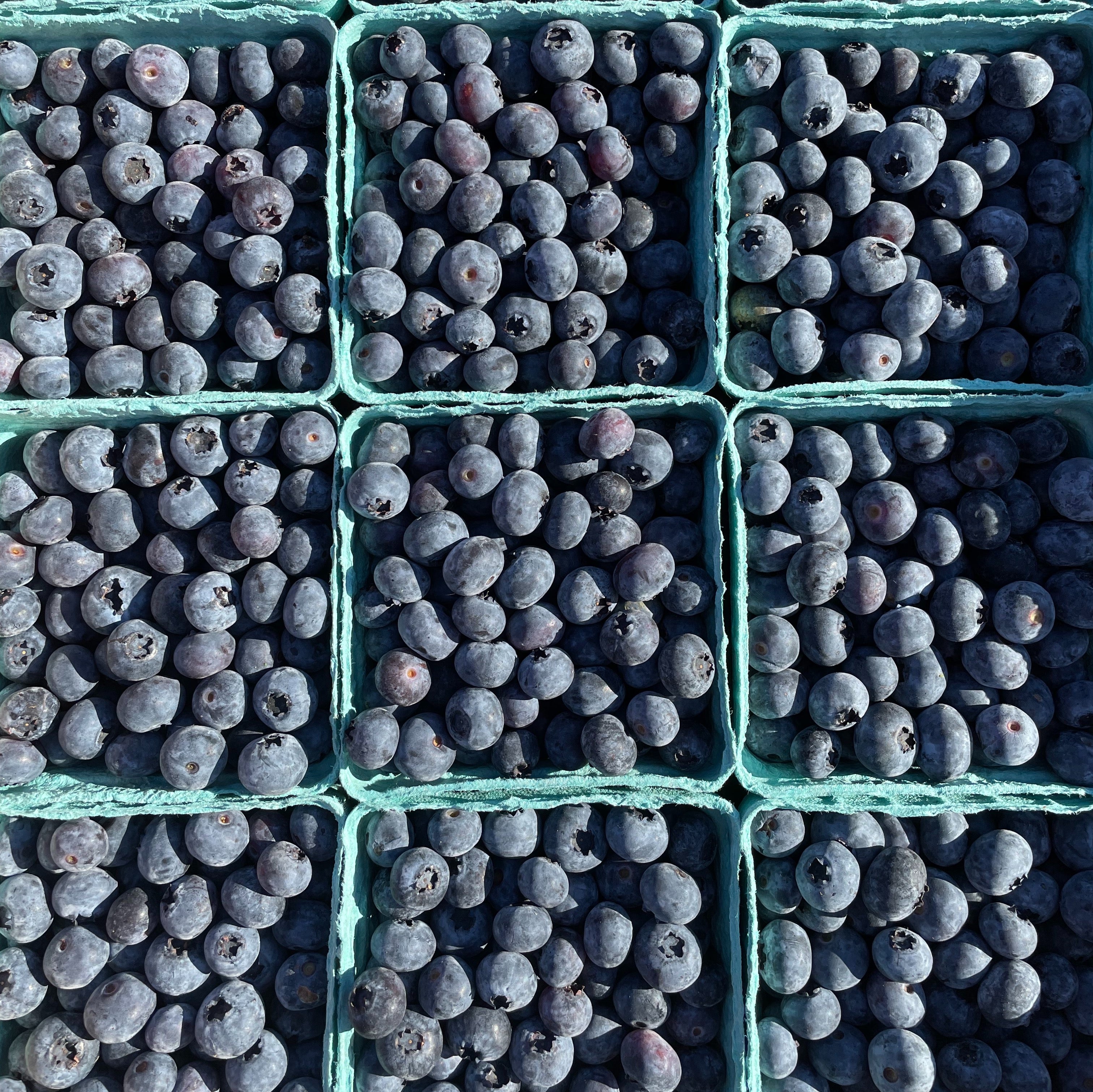 "Dirty Dozen" List 2023