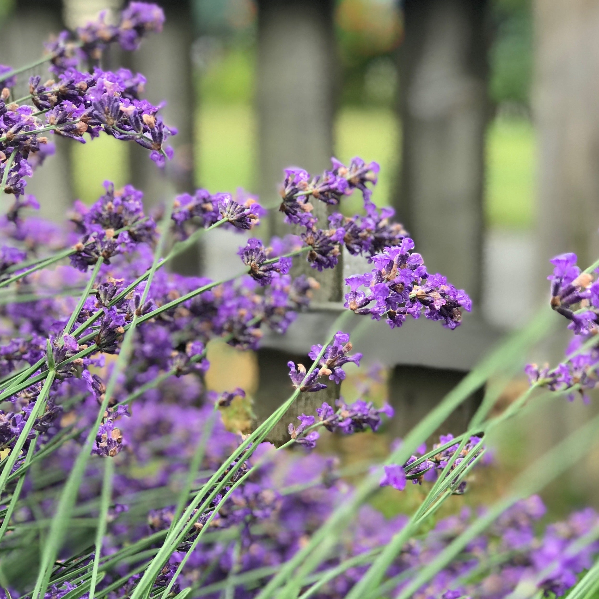 Making a Day (Or Weekend) of It