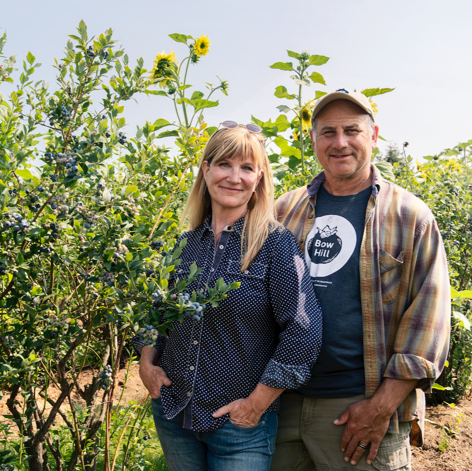 Start Your New Year off Right