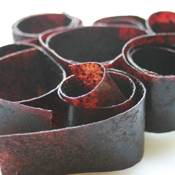 Blueberry Fruit Roll-ups