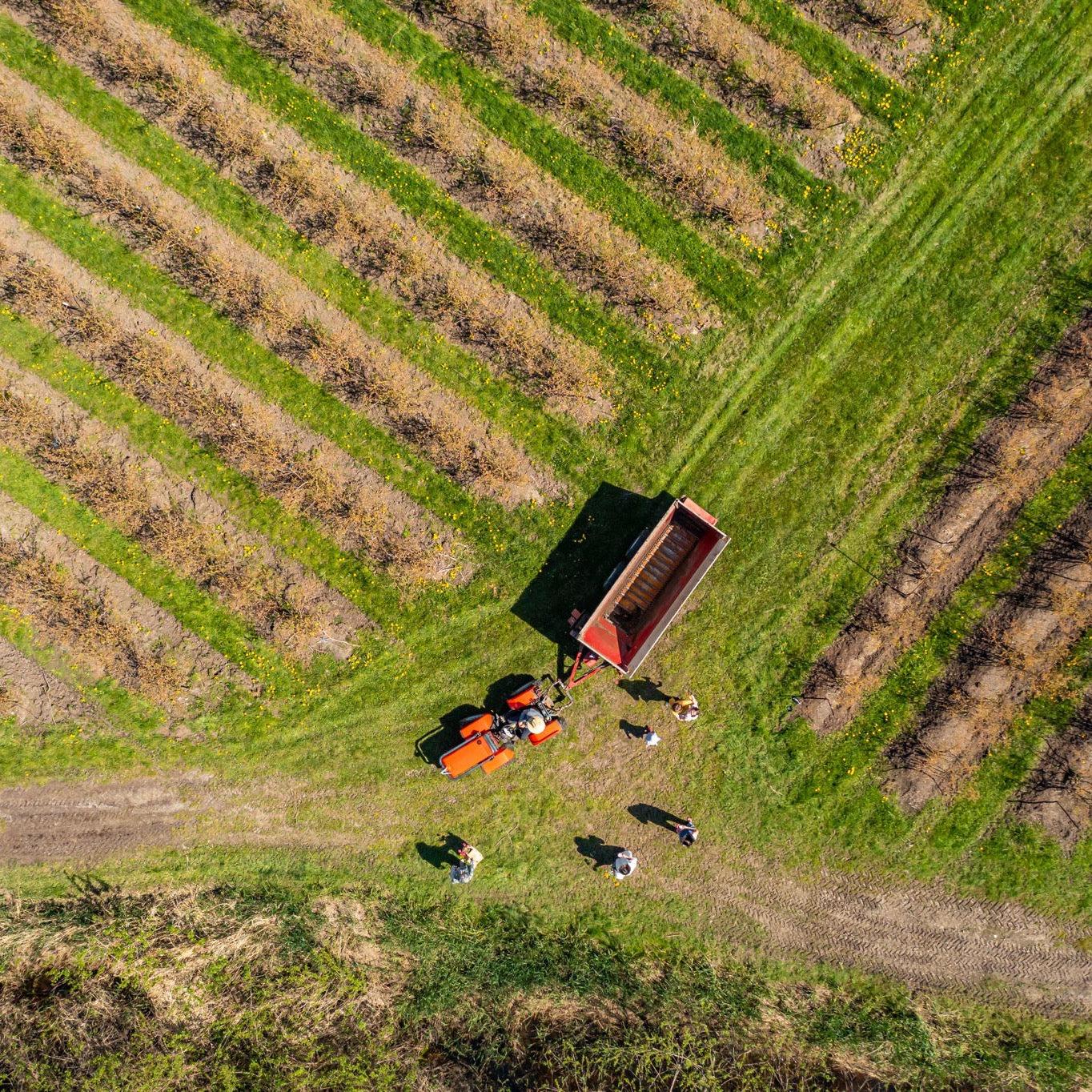 Cultivating Washington