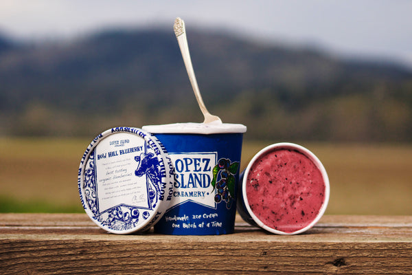 Blueberry Ice Cream – Bow Hill Blueberries