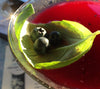 Organic Heirloom Blueberry Juice