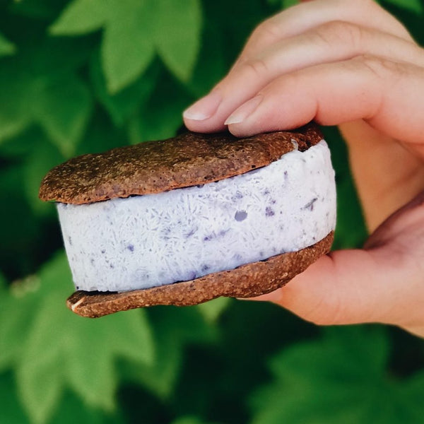 Blueberry Ice Cream Sandwich