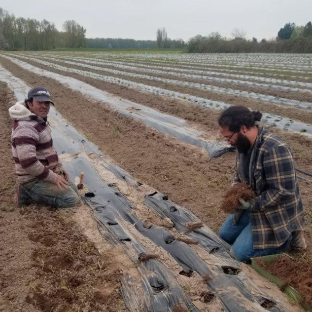Launching the Next Generation of Latinx Farmers in Washington's Skagit Valley