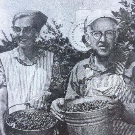 History of Bow Hill Blueberries