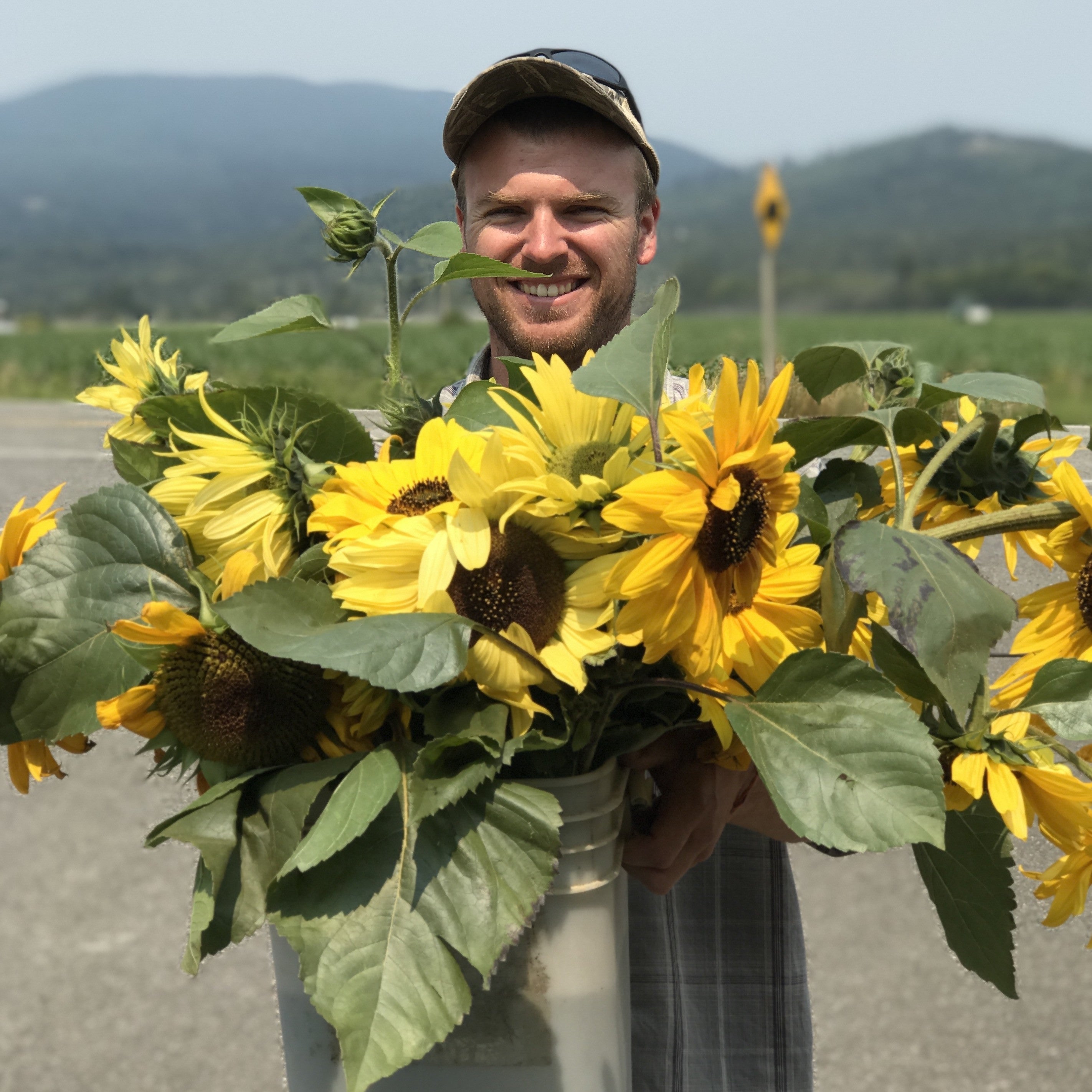 David & the Sunflowers