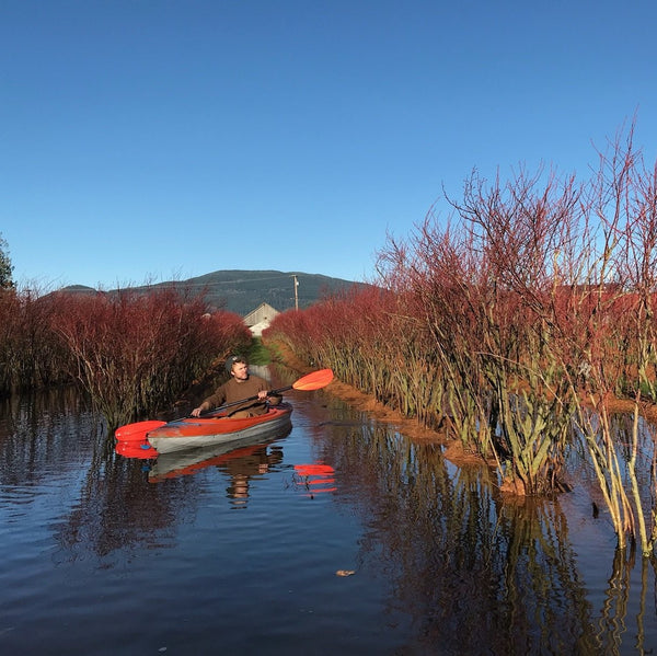 Kayaking Through Our Rows