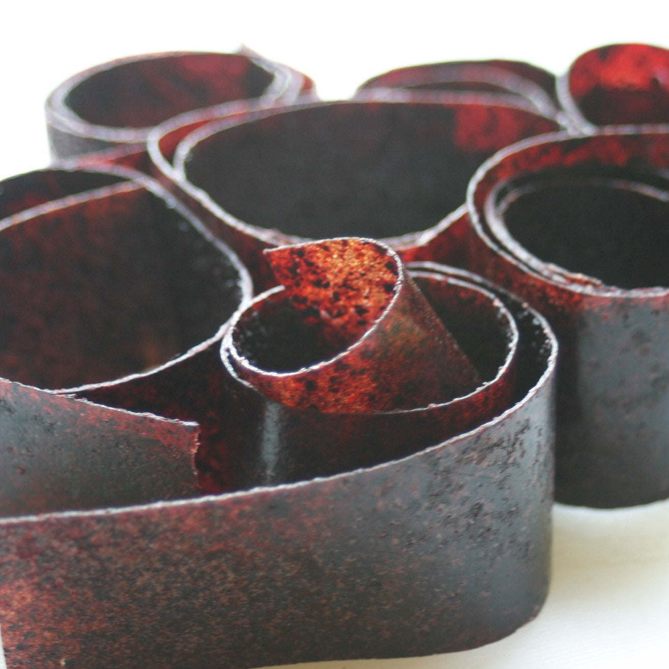 Blueberry Fruit Roll-ups