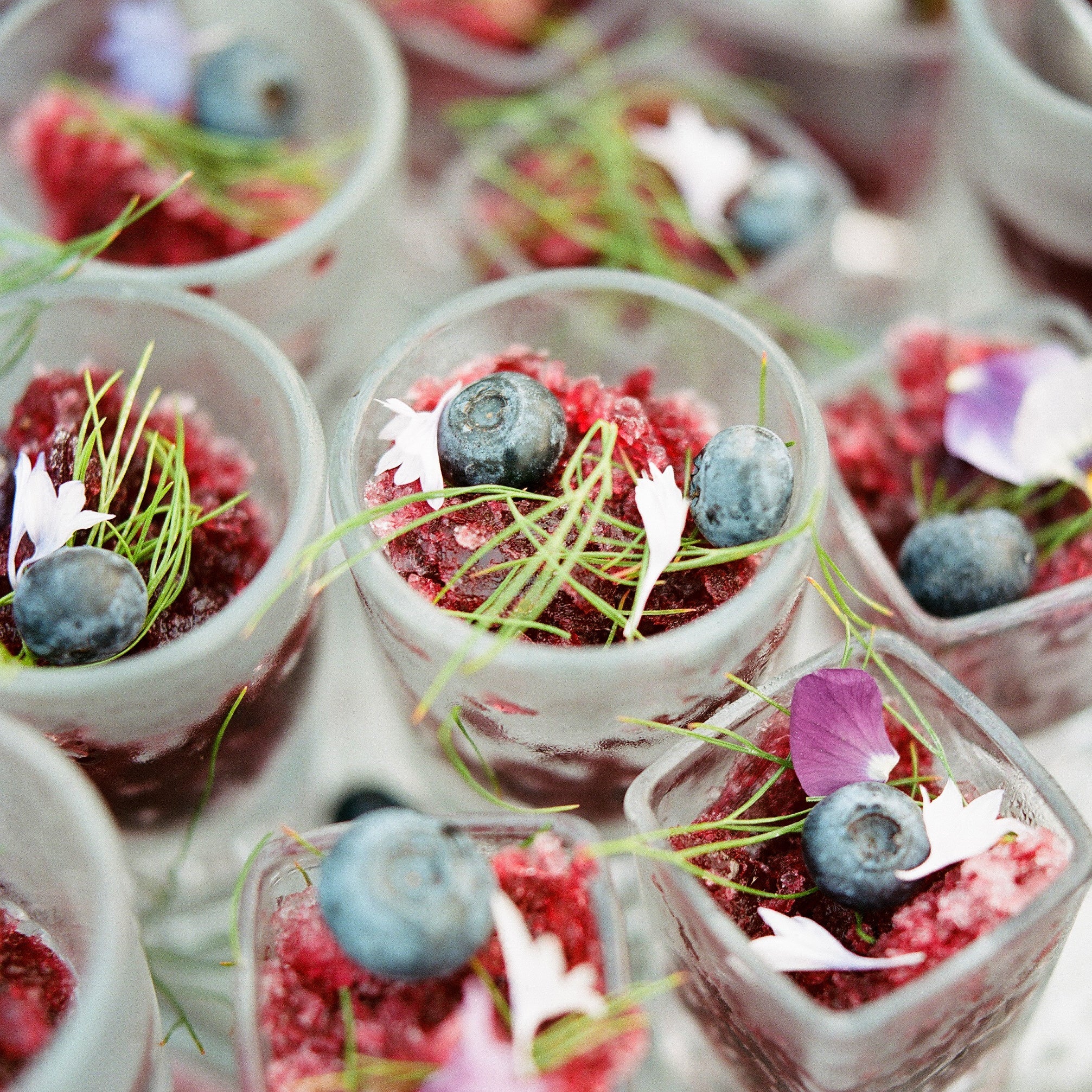 Blueberry & Meyer Lemon Granita