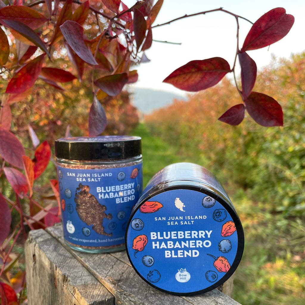 Blueberry Habanero Seasoning Blend