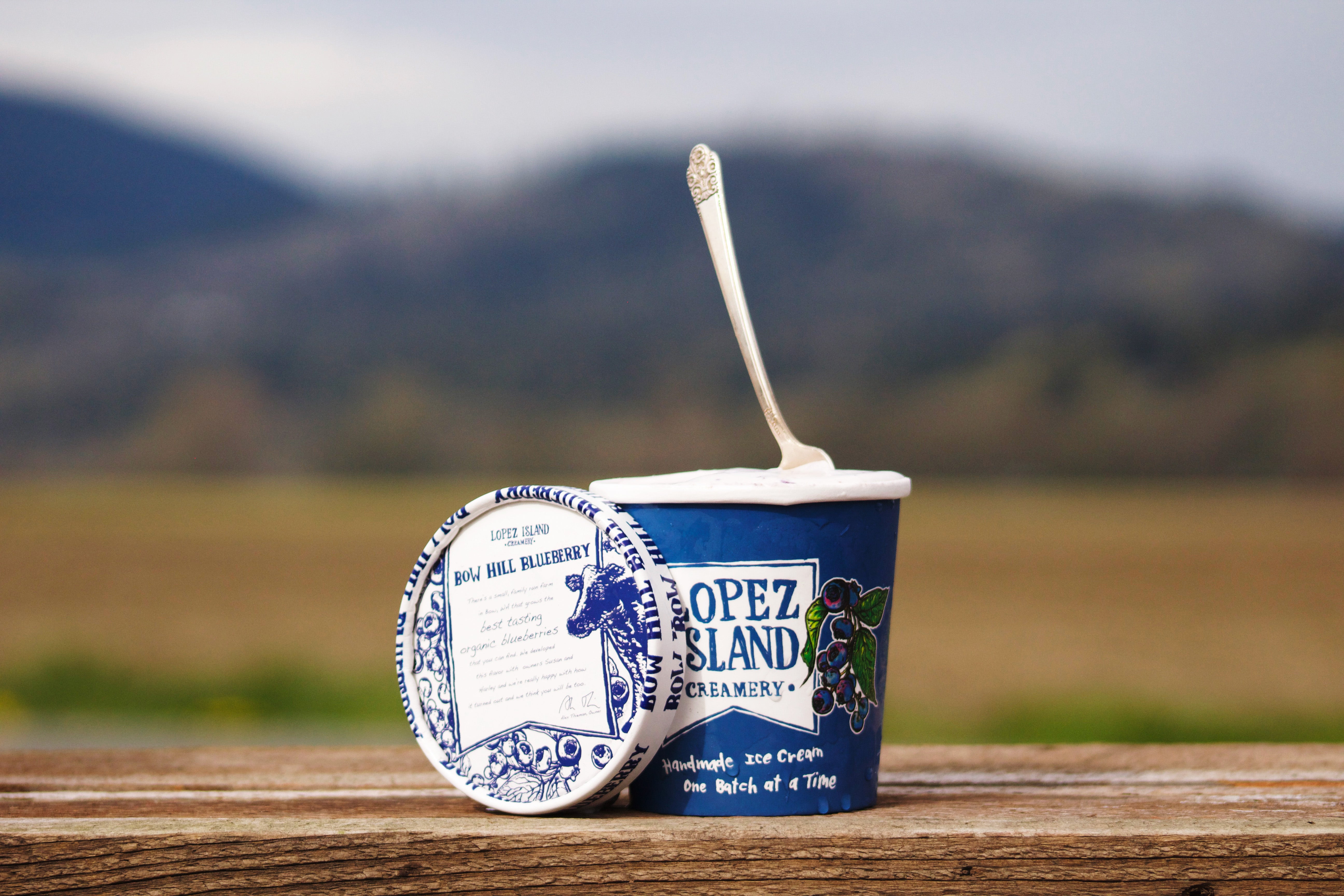 Blueberry Ice Cream – Bow Hill Blueberries