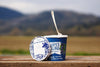 Blueberry Ice Cream