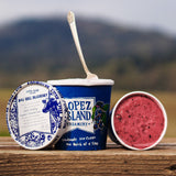 Blueberry Ice Cream