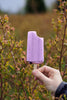 Blueberry Popsicle