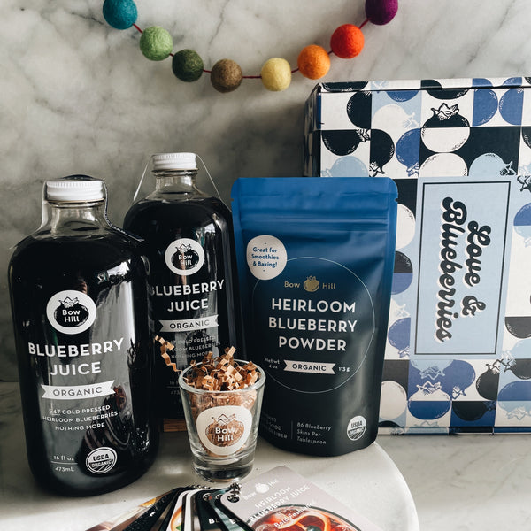 Blueberry Juice Mocktail & Cocktail Kit