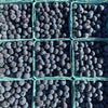 Fresh Organic Blueberries