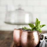 Blueberry Juice Mocktail & Cocktail Kit