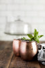 Blueberry Juice Mocktail & Cocktail Kit