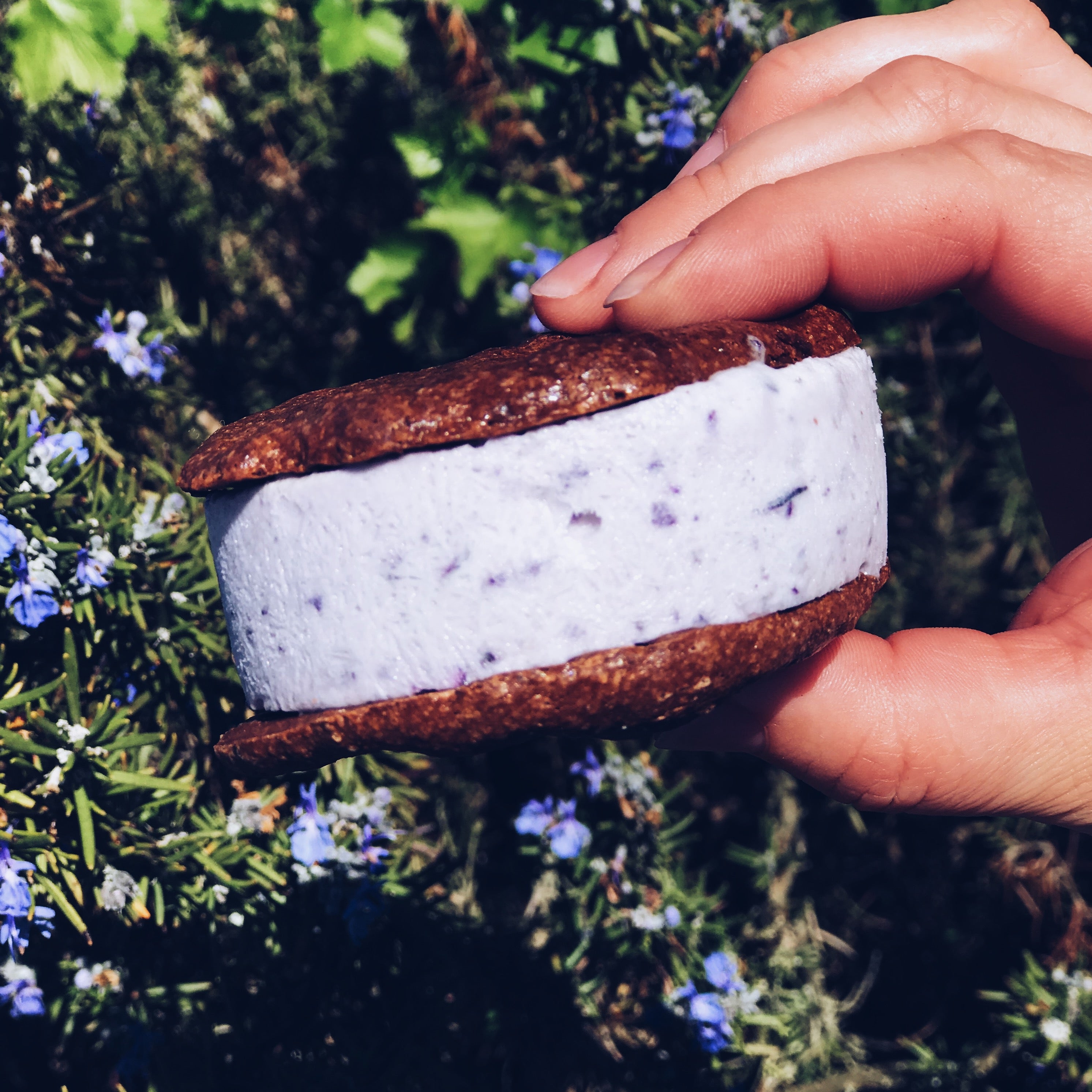 Blueberry Ice Cream Sandwich