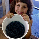Farm Tour