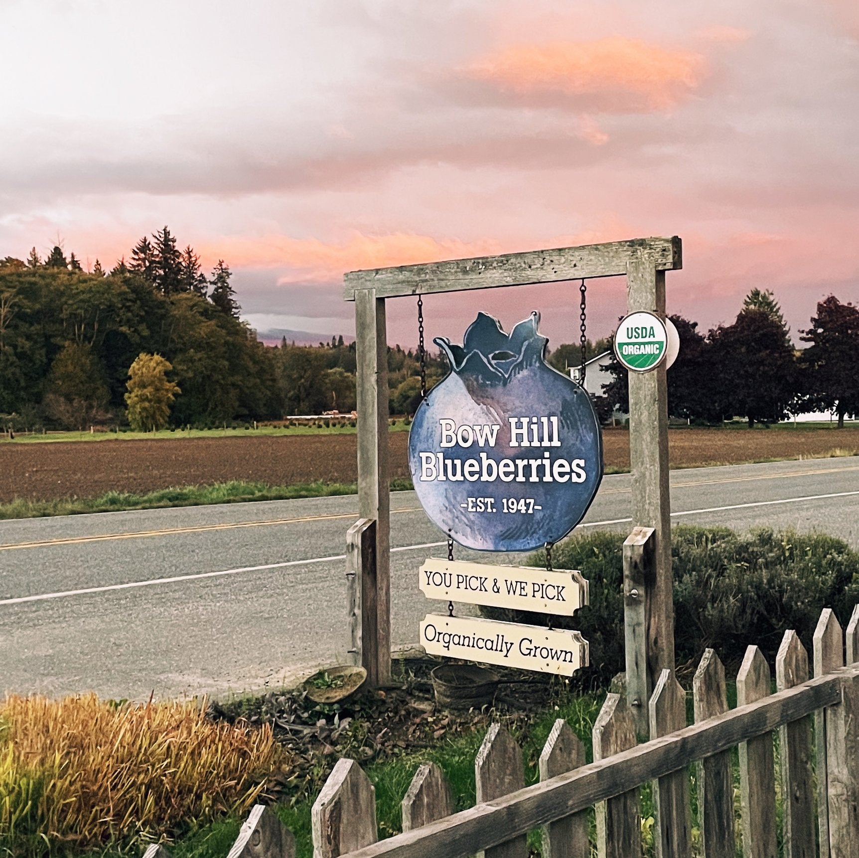 Blueberry sign with pink sunset sky behind